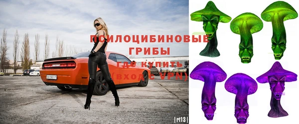 кристаллы Тында
