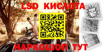 молекула духа Берёзовский