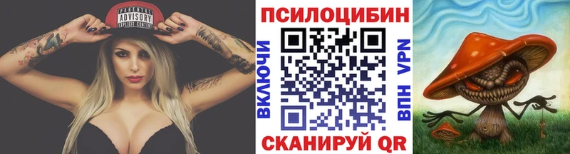 mega онион  Чусовой  Псилоцибиновые грибы Psilocybe 