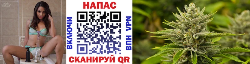 мориарти Telegram  Чусовой  Бошки Шишки SATIVA & INDICA 